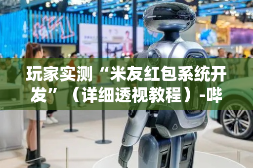 玩家实测“米友红包系统开发”（详细透视教程）-哔哩哔哩