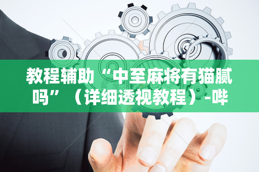 教程辅助“中至麻将有猫腻吗”（详细透视教程）-哔哩哔哩