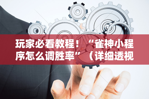 玩家必看教程！“雀神小程序怎么调胜率”（详细透视教程）-哔哩哔哩
