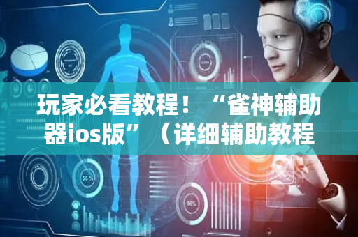 玩家必看教程！“雀神辅助器ios版”（详细辅助教程）-哔哩哔哩