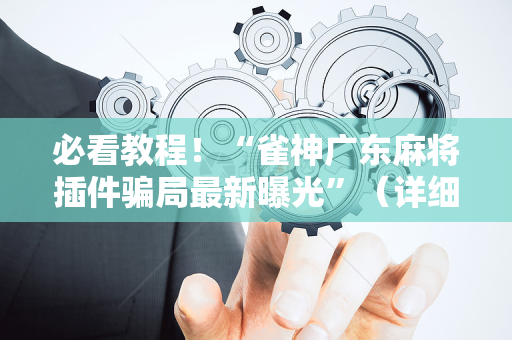 必看教程！“雀神广东麻将插件骗局最新曝光”（详细辅助教程）-哔哩哔哩