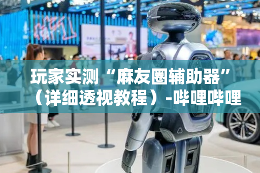 玩家实测“麻友圈辅助器”（详细透视教程）-哔哩哔哩