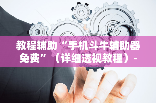 教程辅助“手机斗牛辅助器免费”（详细透视教程）-哔哩哔哩