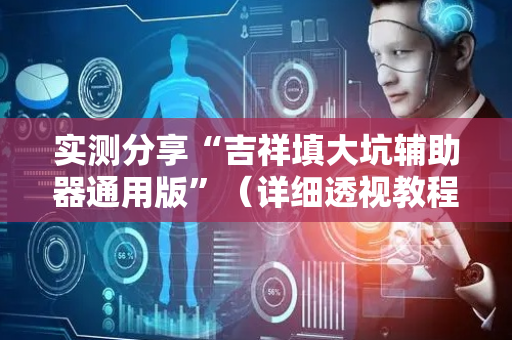 实测分享“吉祥填大坑辅助器通用版”（详细透视教程）-哔哩哔哩