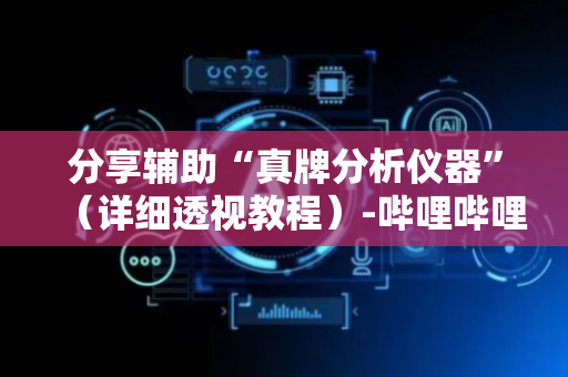 分享辅助“真牌分析仪器”（详细透视教程）-哔哩哔哩
