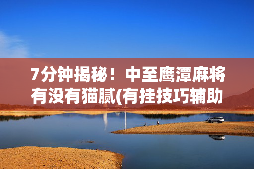 7分钟揭秘！中至鹰潭麻将有没有猫腻(有挂技巧辅助器)