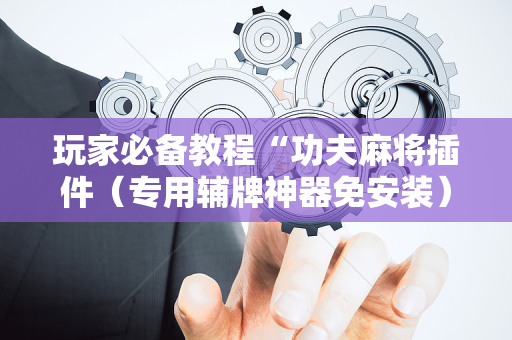 玩家必备教程“功夫麻将插件（专用辅牌神器免安装）