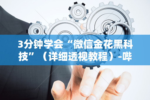3分钟学会“微信金花黑科技”（详细透视教程）-哔哩哔哩