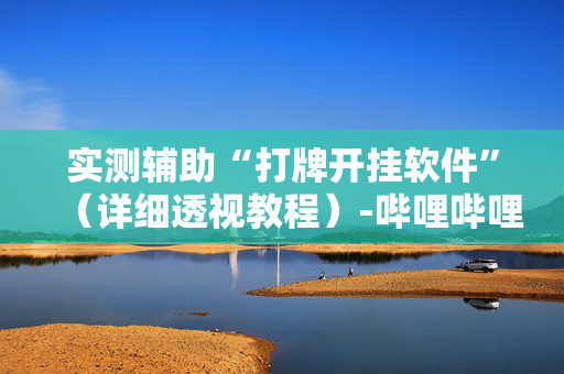 实测辅助“打牌开挂软件”（详细透视教程）-哔哩哔哩