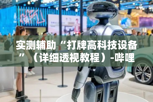 实测辅助“打牌高科技设备”（详细透视教程）-哔哩哔哩