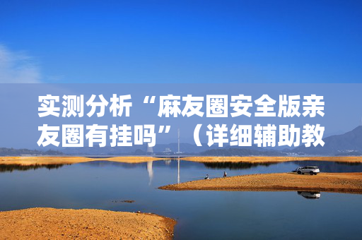实测分析“麻友圈安全版亲友圈有挂吗”（详细辅助教程）-哔哩哔哩