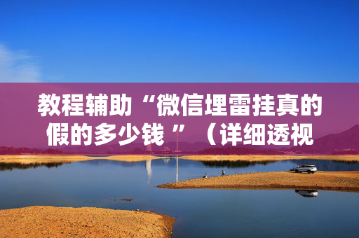 教程辅助“微信埋雷挂真的假的多少钱 ”（详细透视教程）-哔哩哔哩
