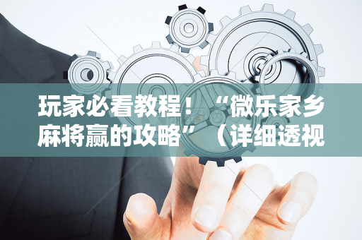 玩家必看教程！“微乐家乡麻将赢的攻略”（详细透视教程）-哔哩哔哩