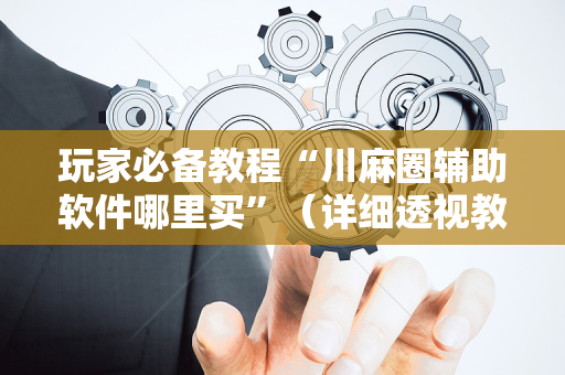 玩家必备教程“川麻圈辅助软件哪里买”（详细透视教程）-哔哩哔哩
