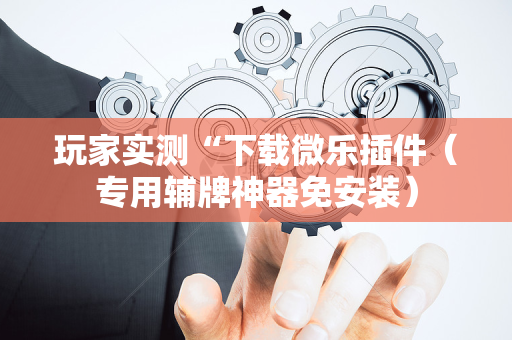 玩家实测“下载微乐插件（专用辅牌神器免安装）