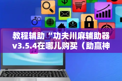 教程辅助“功夫川麻辅助器v3.5.4在哪儿购买（助赢神器通用版）