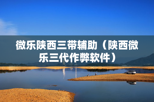 微乐陕西三带辅助（陕西微乐三代作弊软件）
