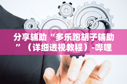 分享辅助“多乐跑胡子辅助”（详细透视教程）-哔哩哔哩