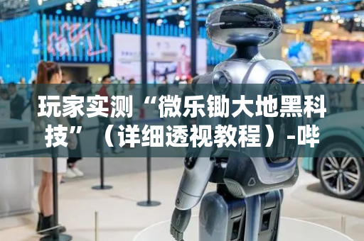 玩家实测“微乐锄大地黑科技”（详细透视教程）-哔哩哔哩
