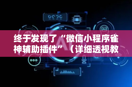 终于发现了“微信小程序雀神辅助插件”（详细透视教程）-哔哩哔哩