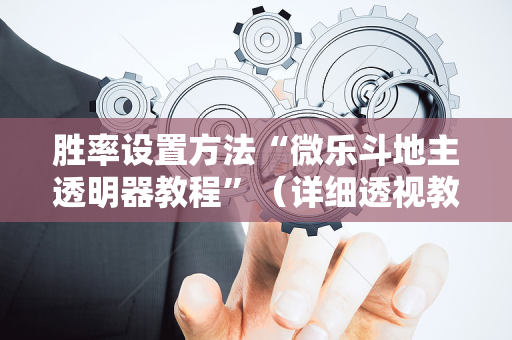 胜率设置方法“微乐斗地主透明器教程”（详细透视教程）-哔哩哔哩
