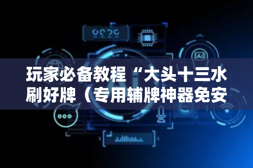 玩家必备教程“大头十三水刷好牌（专用辅牌神器免安装）