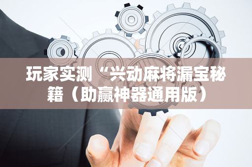 玩家实测“兴动麻将漏宝秘籍（助赢神器通用版）
