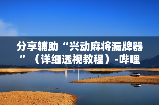 分享辅助“兴动麻将漏牌器”（详细透视教程）-哔哩哔哩
