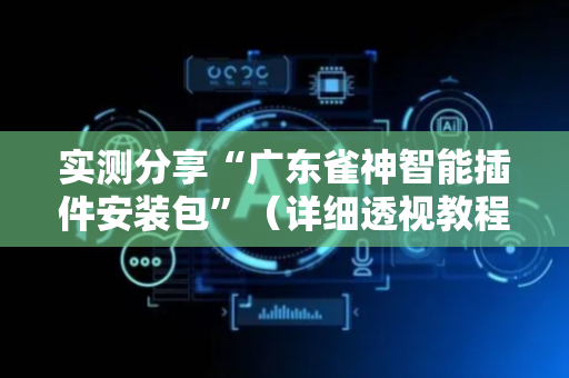 实测分享“广东雀神智能插件安装包”（详细透视教程）-哔哩哔哩