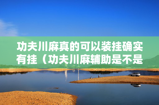 功夫川麻真的可以装挂确实有挂（功夫川麻辅助是不是真的）