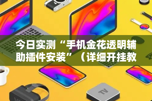 今日实测“手机金花透明辅助插件安装”（详细开挂教程）-哔哩哔哩