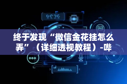终于发现“微信金花挂怎么弄”（详细透视教程）-哔哩哔哩