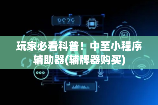 玩家必看科普！中至小程序辅助器(辅牌器购买)