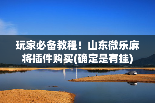 玩家必备教程！山东微乐麻将插件购买(确定是有挂)