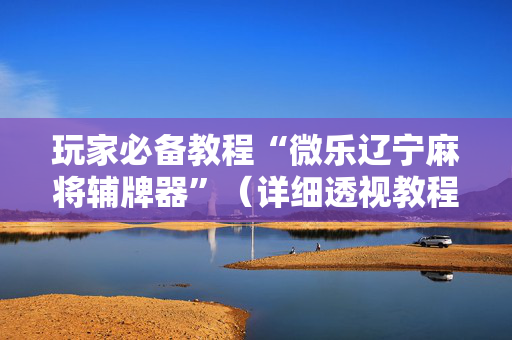 玩家必备教程“微乐辽宁麻将辅牌器”（详细透视教程）-哔哩哔哩