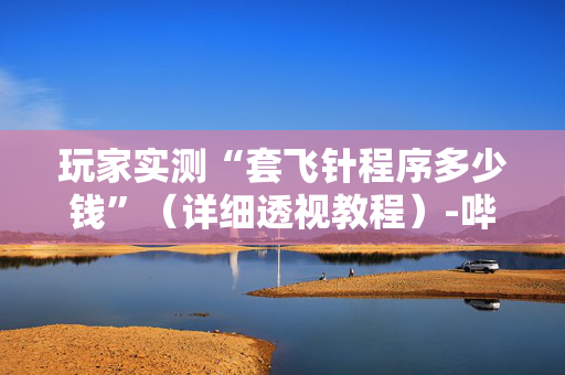 玩家实测“套飞针程序多少钱”（详细透视教程）-哔哩哔哩