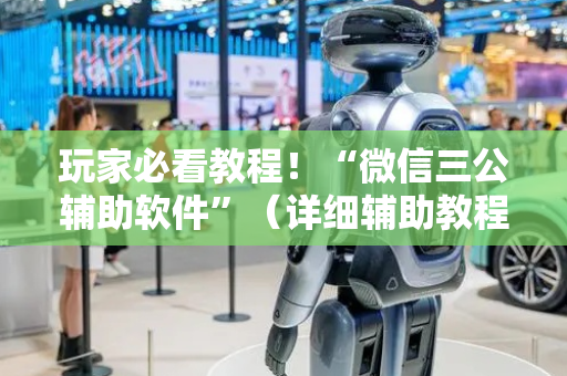 玩家必看教程！“微信三公辅助软件”（详细辅助教程）-哔哩哔哩