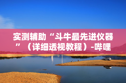 实测辅助“斗牛最先进仪器”（详细透视教程）-哔哩哔哩