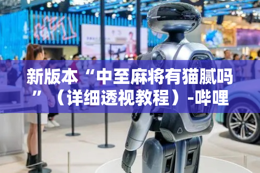 新版本“中至麻将有猫腻吗”（详细透视教程）-哔哩哔哩