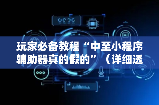 玩家必备教程“中至小程序辅助器真的假的”（详细透视教程）-哔哩哔哩