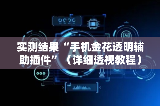 实测结果“手机金花透明辅助插件”（详细透视教程）-哔哩哔哩