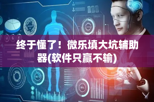 终于懂了！微乐填大坑辅助器(软件只赢不输)
