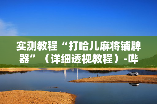 实测教程“打哈儿麻将铺牌器”（详细透视教程）-哔哩哔哩