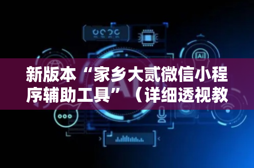 新版本“家乡大贰微信小程序辅助工具”（详细透视教程）-哔哩哔哩