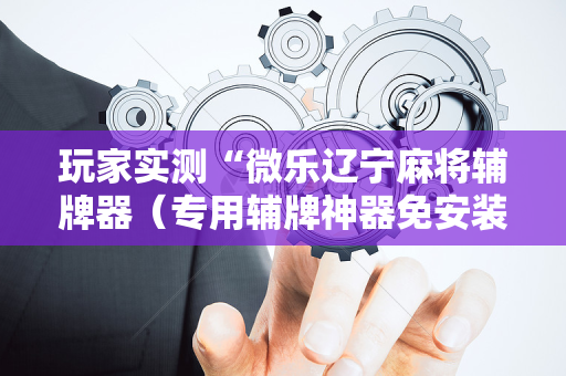 玩家实测“微乐辽宁麻将辅牌器（专用辅牌神器免安装）