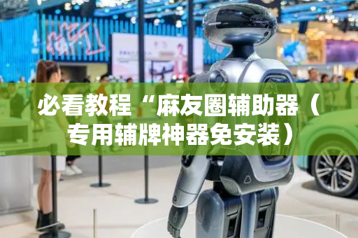 必看教程“麻友圈辅助器（专用辅牌神器免安装）