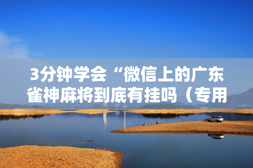3分钟学会“微信上的广东雀神麻将到底有挂吗（专用辅牌神器免安装）