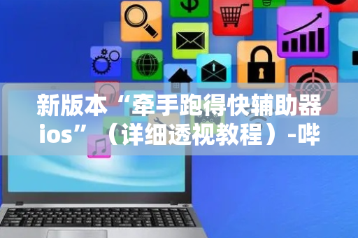 新版本“牵手跑得快辅助器ios”（详细透视教程）-哔哩哔哩