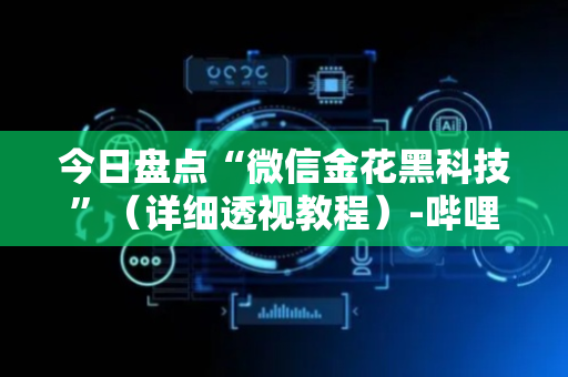 今日盘点“微信金花黑科技”（详细透视教程）-哔哩哔哩