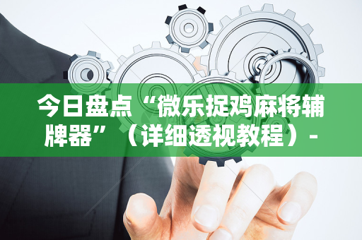 今日盘点“微乐捉鸡麻将辅牌器”（详细透视教程）-哔哩哔哩